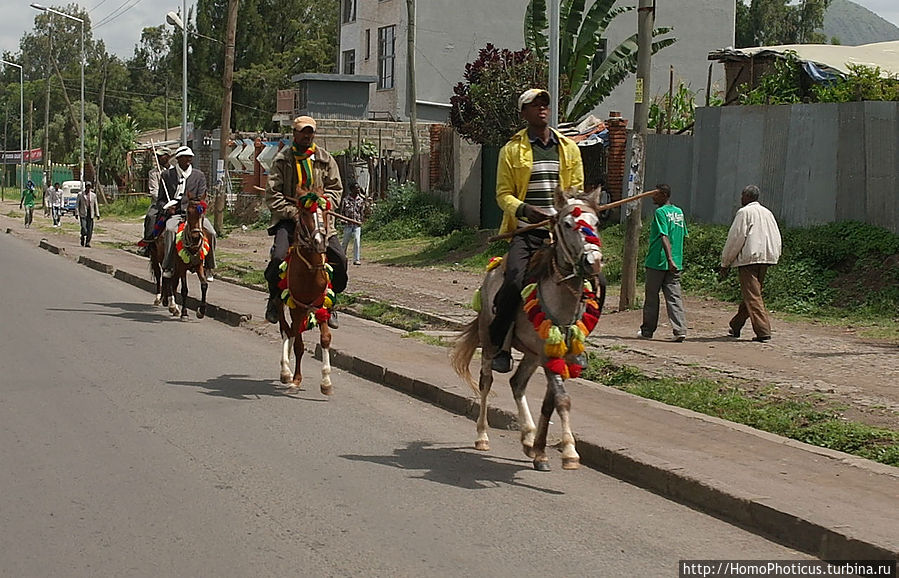 Праздник в Дебре-Зейт Праздник в Дебре-Зейт