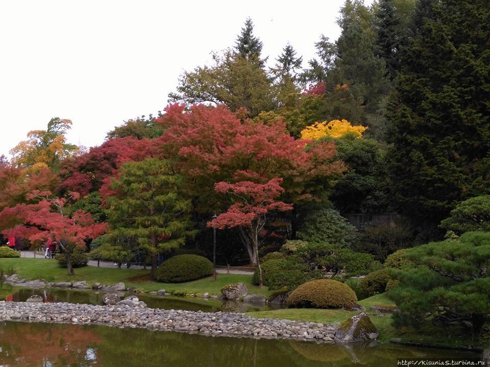 Японский парк в Сиэтле, США Сиэттл, CША