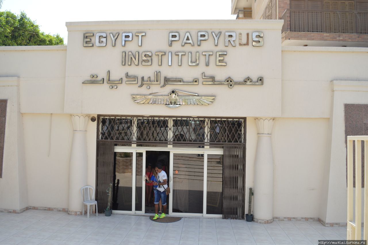 Институт папируса в Каире / Papyrus Institute