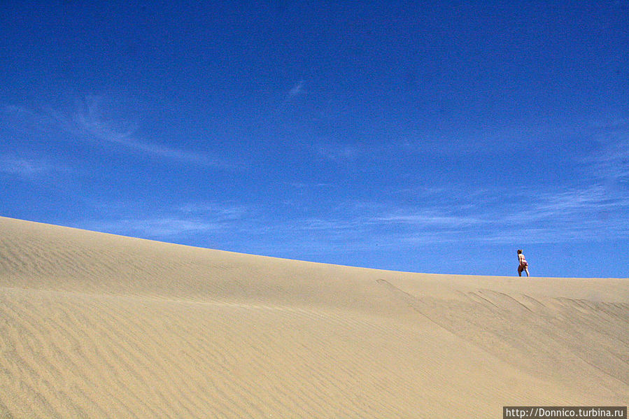 ну а нам, после прогулки вдоль моря, пора идти вглубь дюны ну а нам, после прогулки вдоль моря, пора идти вглубь дюны