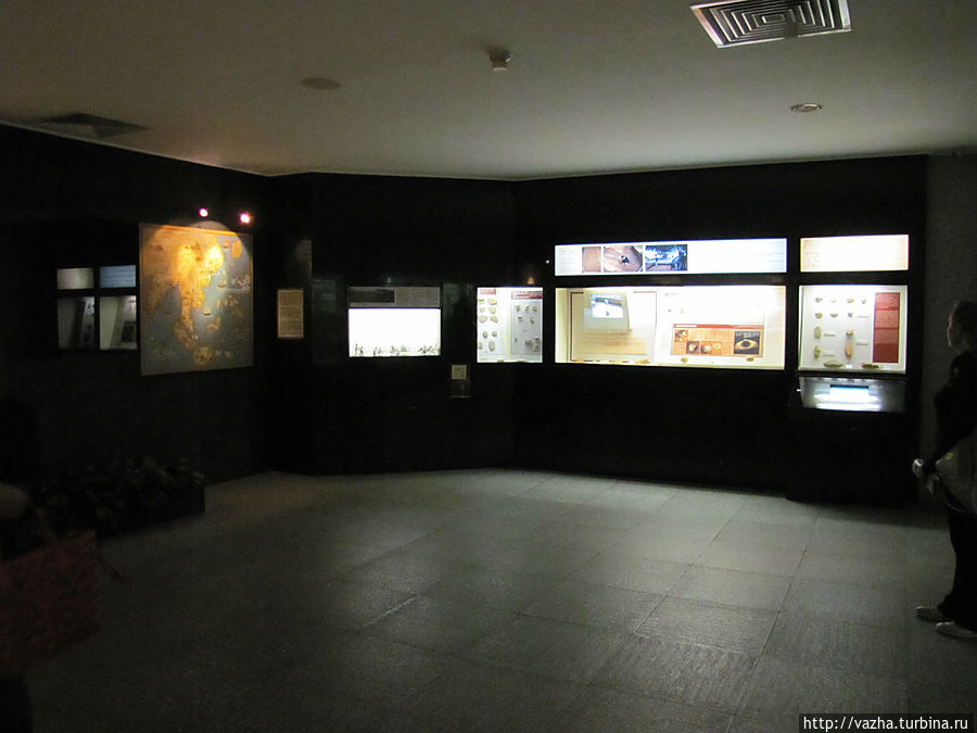 Музей Макао Полуостров Макао, Макао
