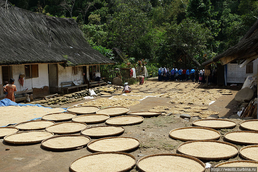 Главная площадь. Главная площадь.