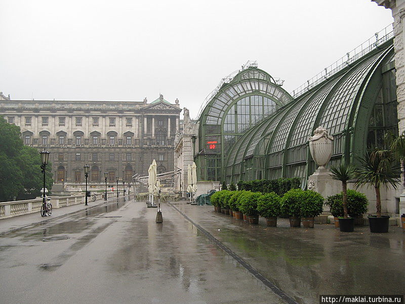 Дом бабочек. Дом бабочек.