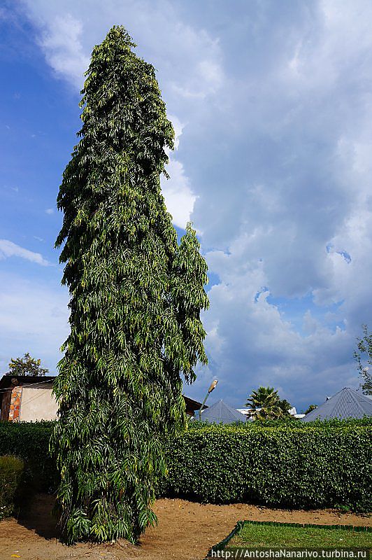 Афро-Байкал Бужумбура, Бурунди Афро-Байкал Бужумбура, Бурунди