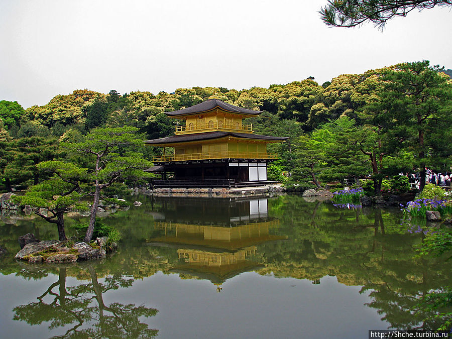 Кинкаку-дзи (Золотой павильон) в Киото и зеркальный водоем Киото, Япония