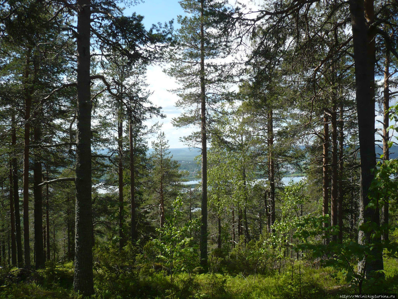 Прогулка по горе Авасакса Юлиторнио, Финляндия