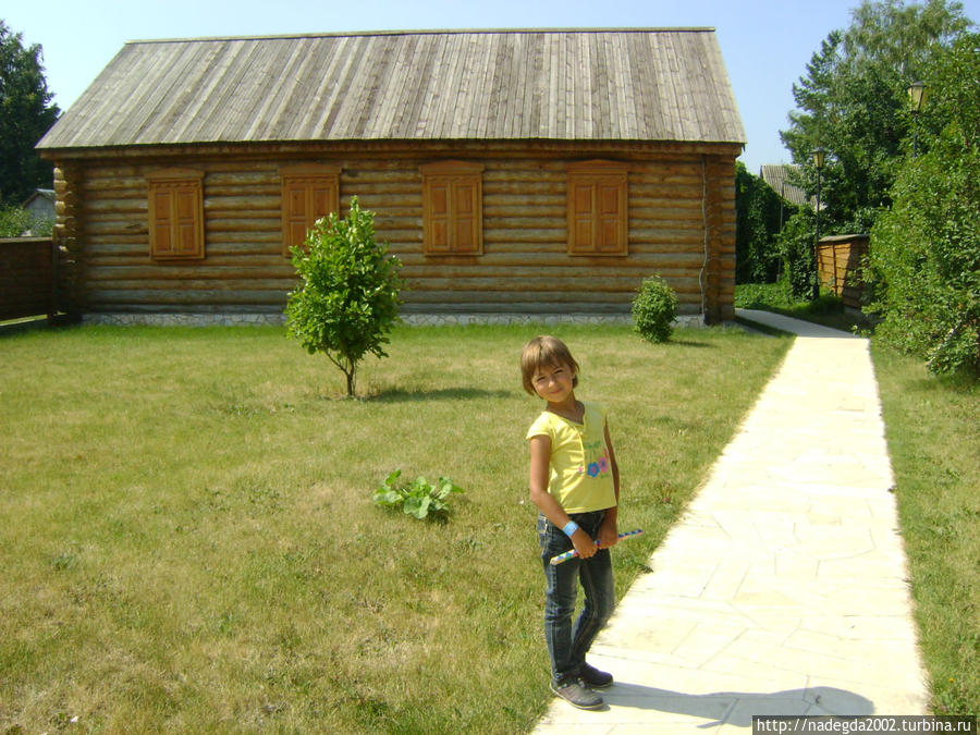 Дом-музей Репина Самарская область, Россия