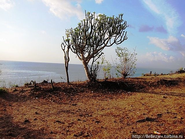 Фотографии с острова Бали Джимбаран, Индонезия