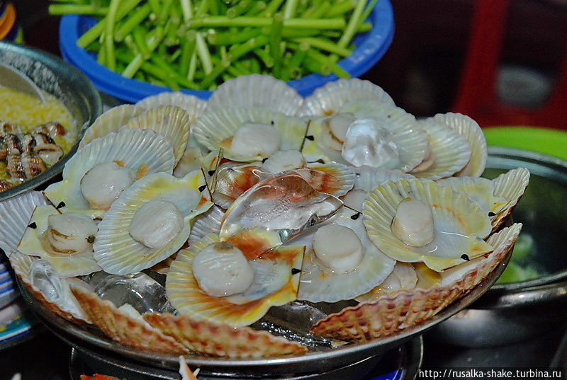 Гребешки. Я их полюбила... Гребешки. Я их полюбила...