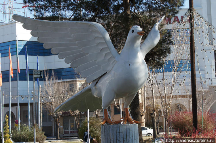 Памятник чайке