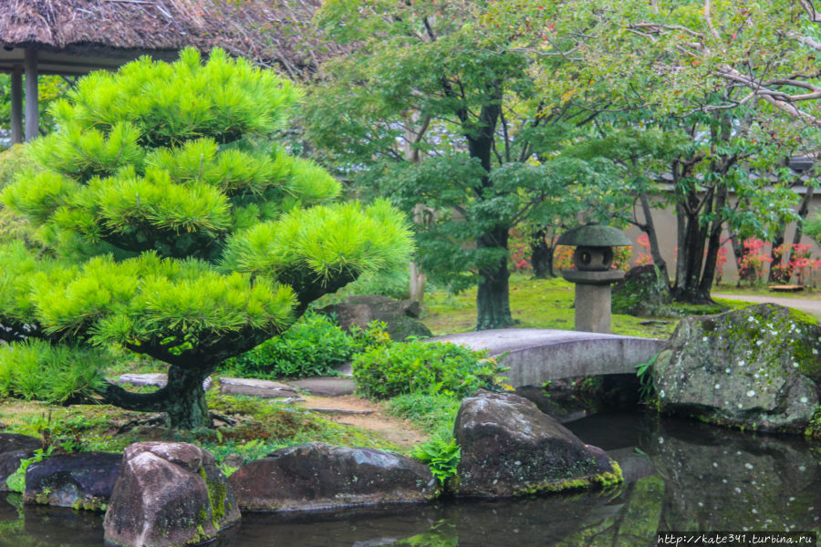 Япония. Часть 5. Замок белой цапли Химедзи, Япония