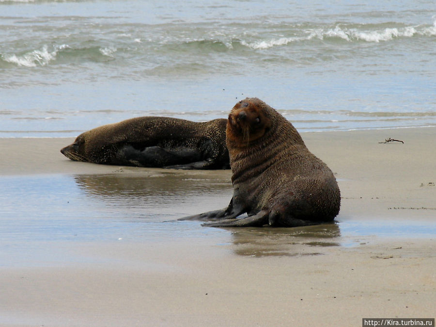 Farewell Spit Farewell Spit