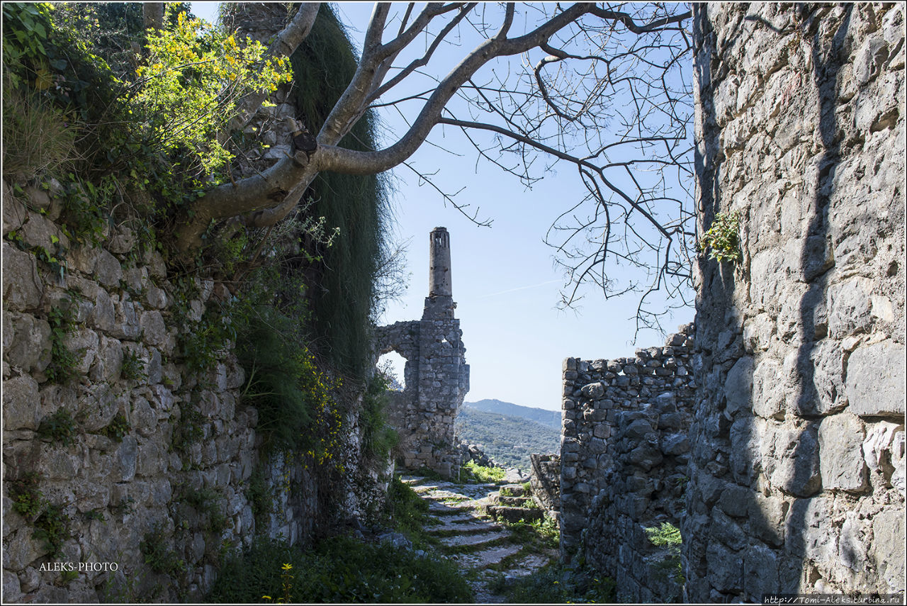 Тропинками Старого Бара (На просторах Монтенегро ч3) Старый Бар, Черногория Тропинками Старого Бара (На просторах Монтенегро ч3) Старый Бар, Черногория