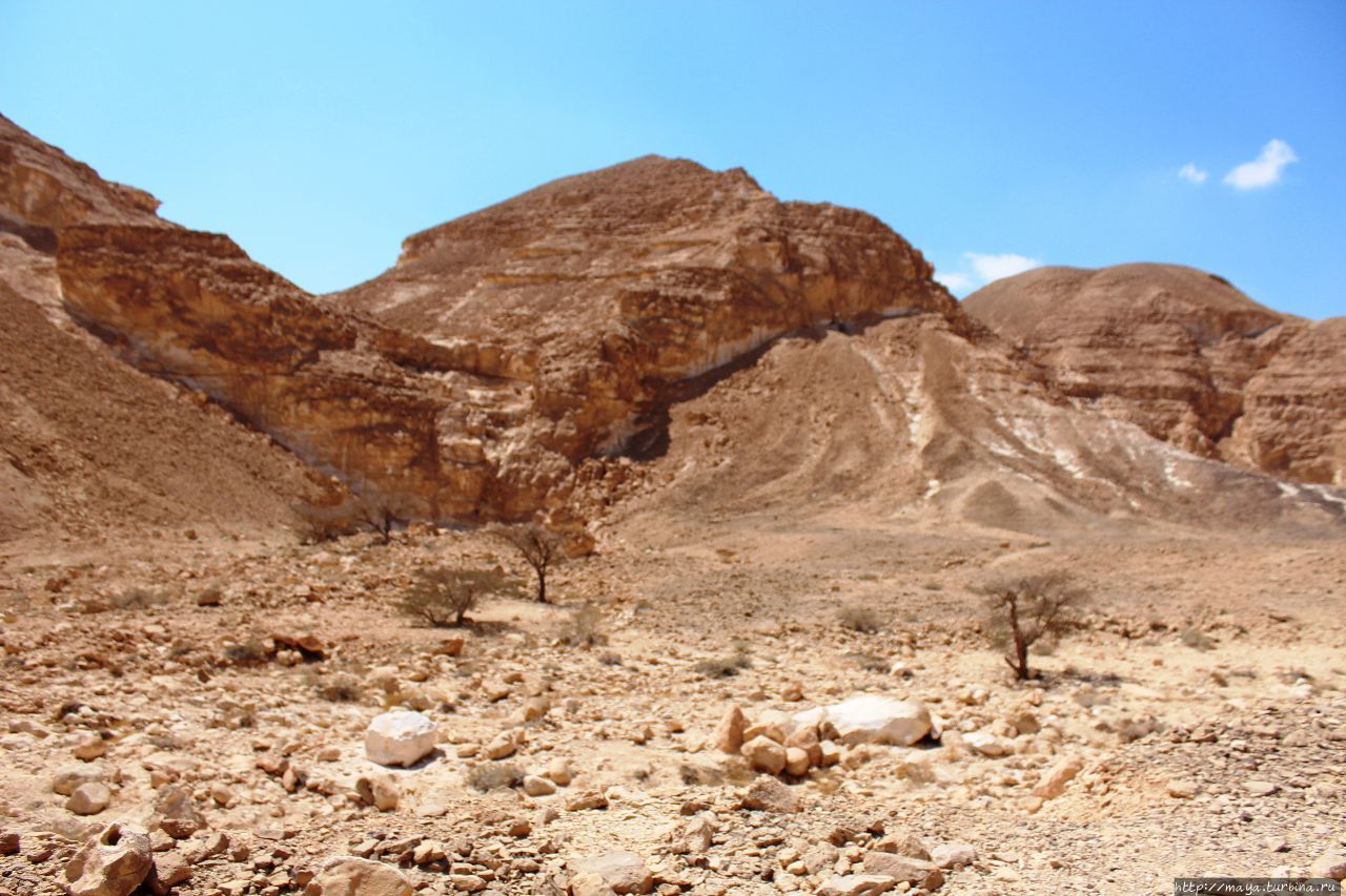 Каньон Вардит Арава Пустыня, Израиль