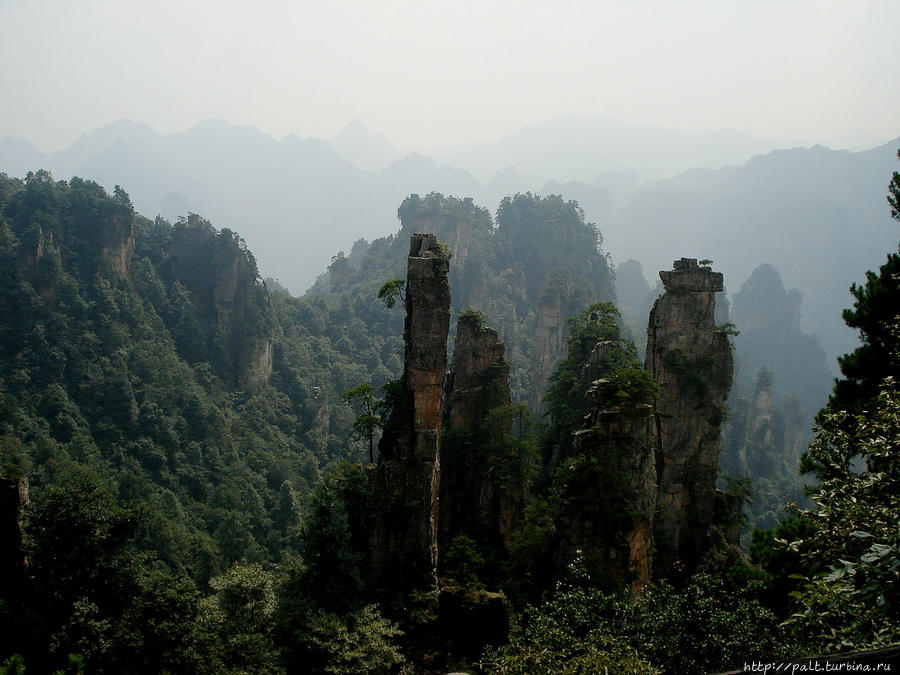 Тяньцзышань (горы Сына Неба). Кисти Императора Чжанцзяцзе Национальный Лесной Парк (Парк Аватар), Китай