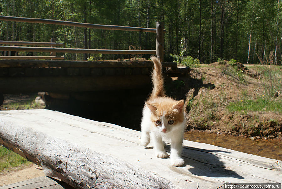Байкальская рыбалка))) озеро Байкал, Россия Байкальская рыбалка))) озеро Байкал, Россия