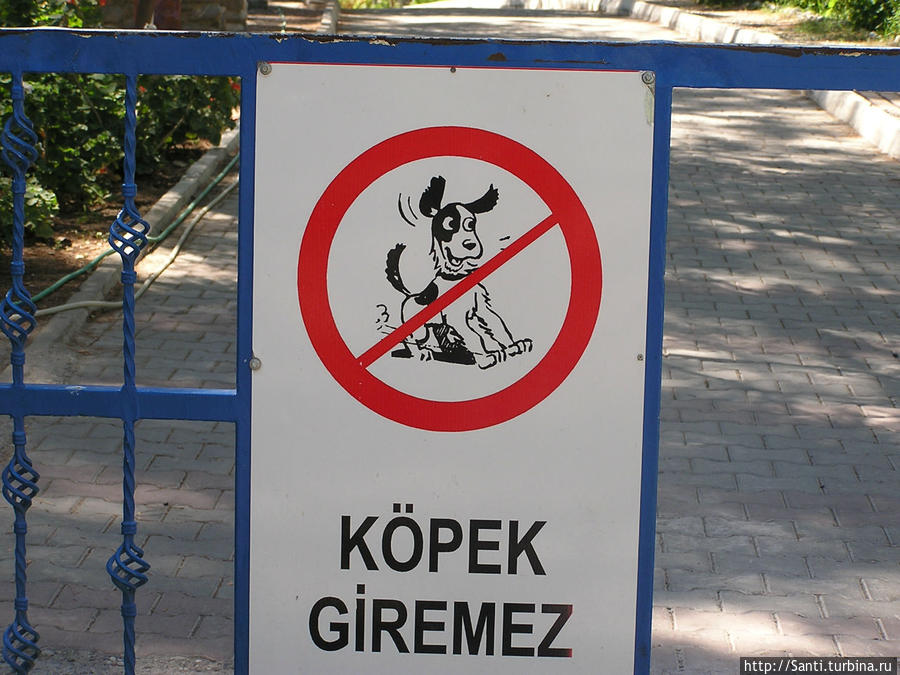 На территорию пляжа и прибрежного парка с собаками нельзя... Мармарис, Турция