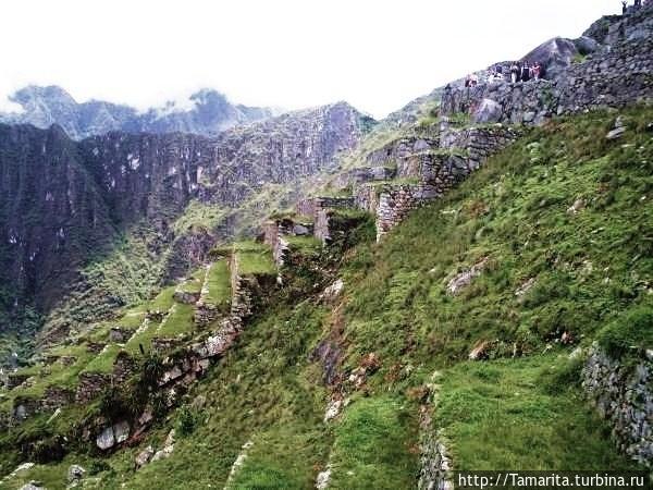 Вечны только камни.  Мачу — Пикчу Куско, Перу