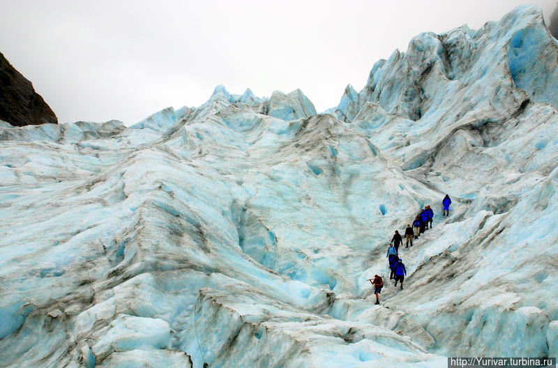 По леднику нужно идти цепочкой — один за другим Вестленд Таи Поутини Национальный парк, Новая Зеландия