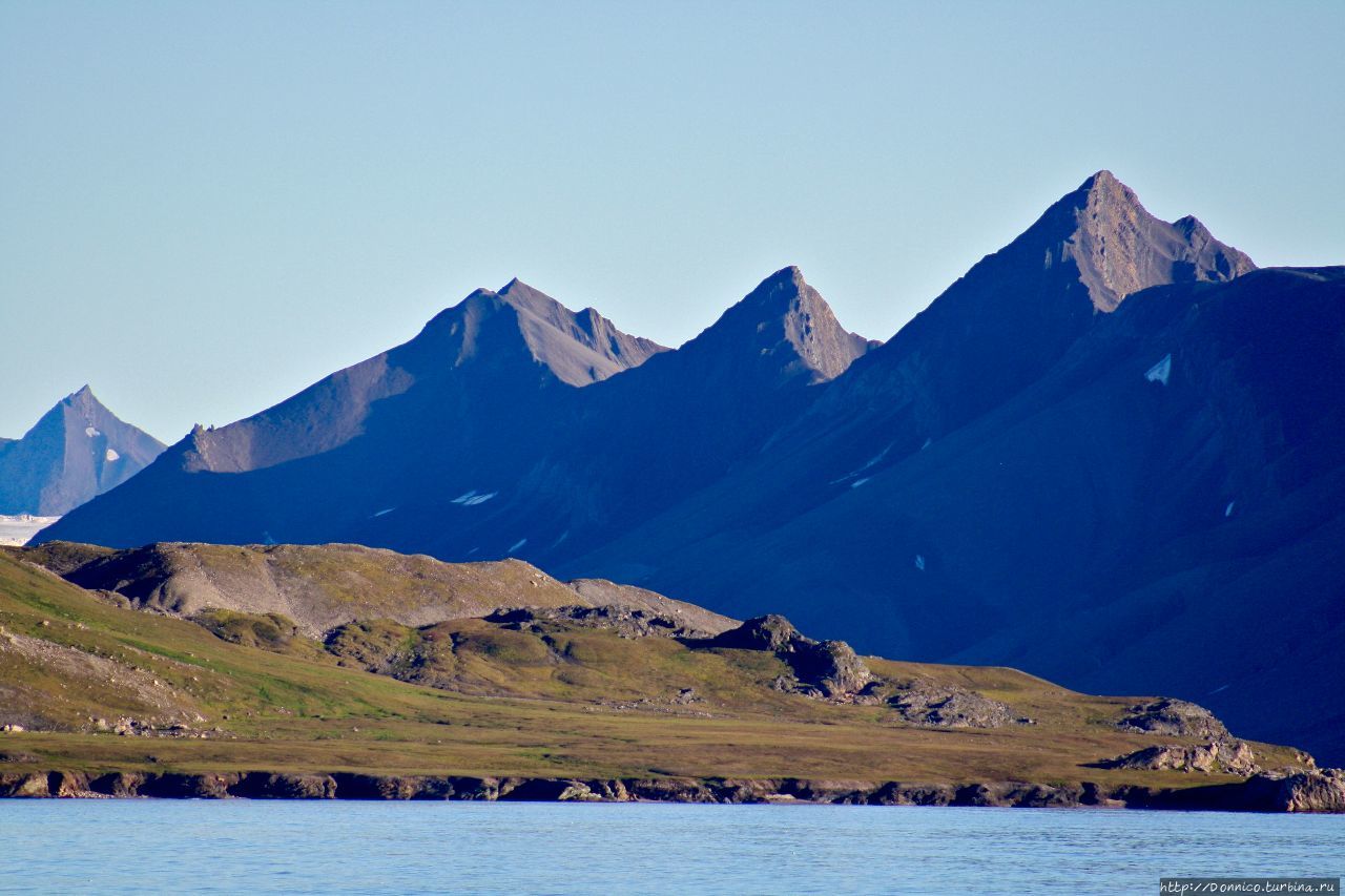 Дикий Шпицберген — у Болотной горы Нордре Исфьорден Национальный Парк, Свальбард