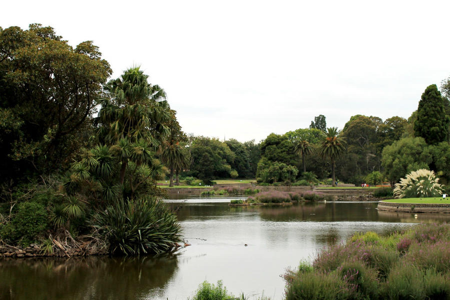 Королевский Ботанический Сад Мельбурн, Австралия