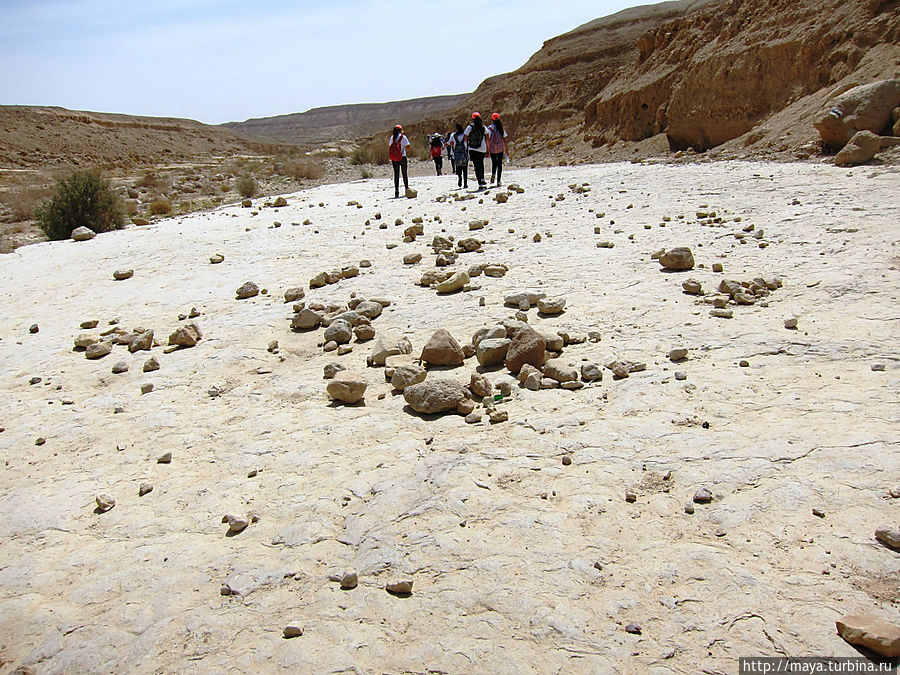 То ли речка, то ли нет. В чем секрет? Эйн-Бокек, Израиль То ли речка, то ли нет. В чем секрет? Эйн-Бокек, Израиль