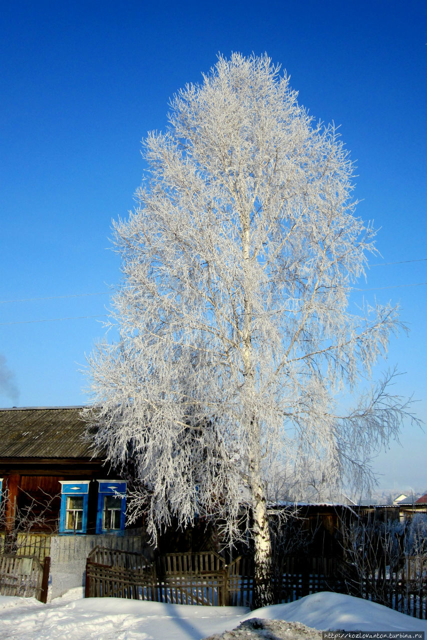 Зимняя сказка улицы Мартакова
