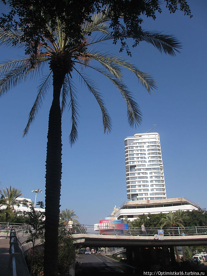 Прогулка по Тель-Авиву с Майей Тель-Авив, Израиль Прогулка по Тель-Авиву с Майей Тель-Авив, Израиль