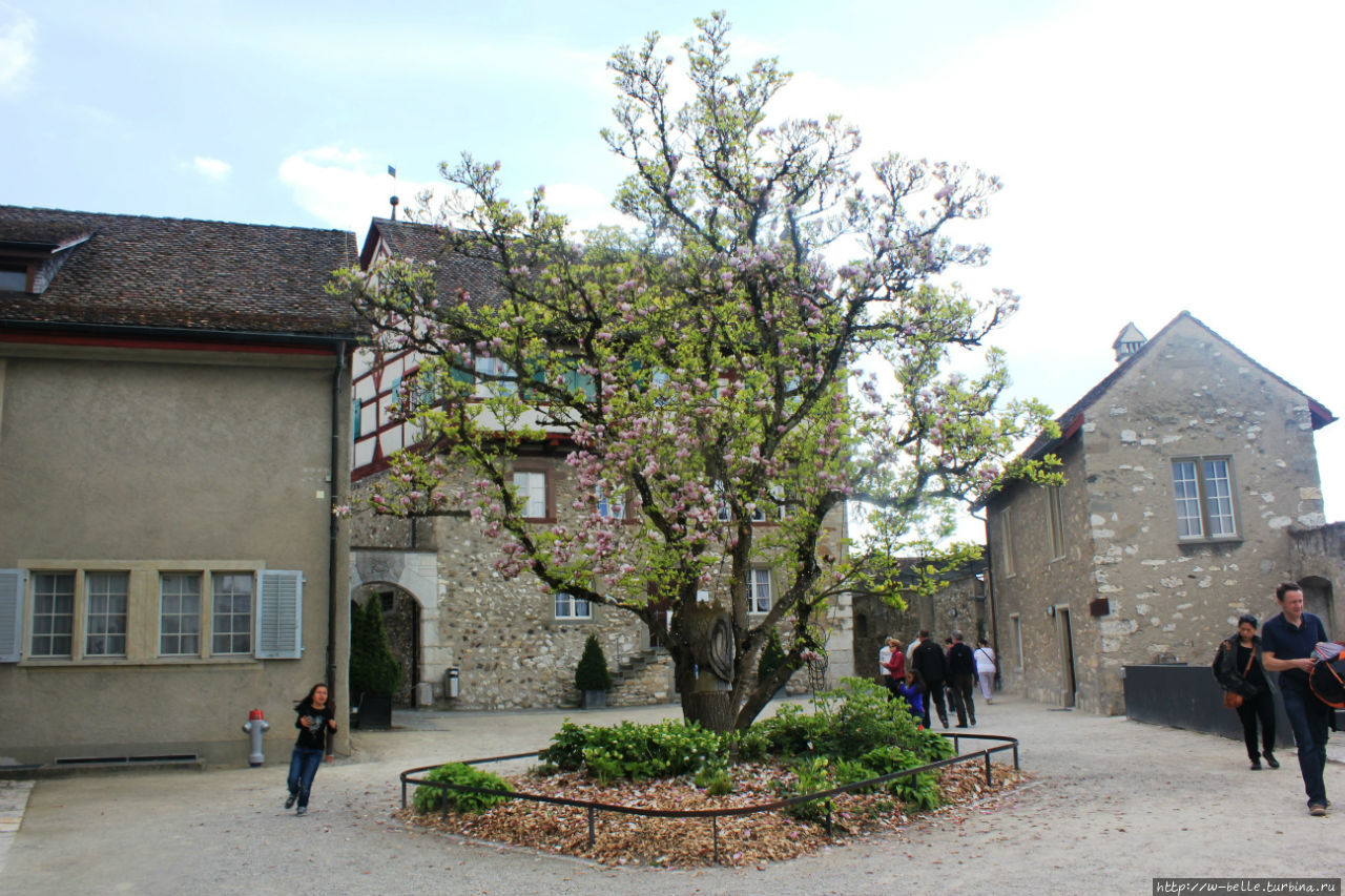 Чудесный внутренний дворик замка Лауфен. Нойхаузен-ам-Райнфалль, Швейцария