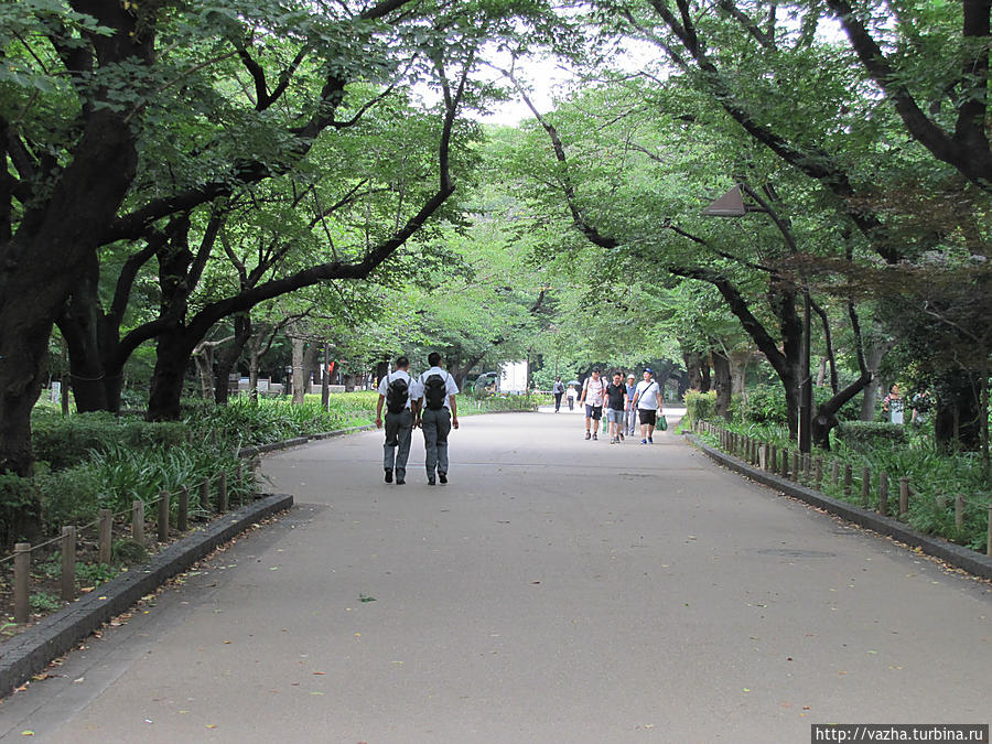 Прогулка по парку Уэно. Токио, Япония