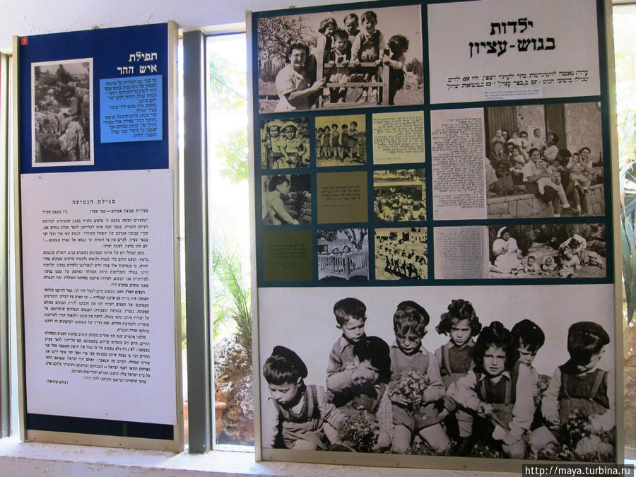 Дети Эциона. Иудея и Самария, Израиль