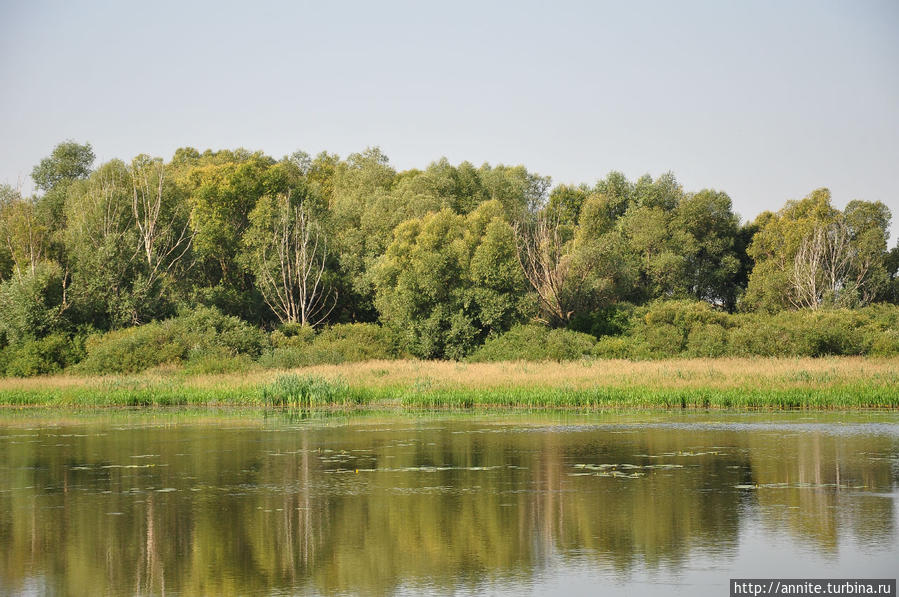 Вернуться в лето Вернуться в лето