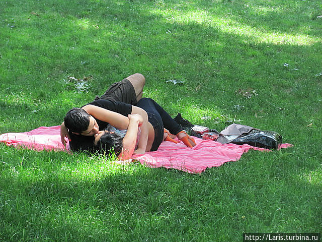 Тоже в Центральном парке Тоже в Центральном парке