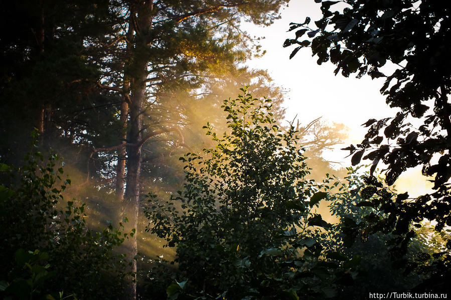 Яльчик Волжск, Россия Яльчик Волжск, Россия
