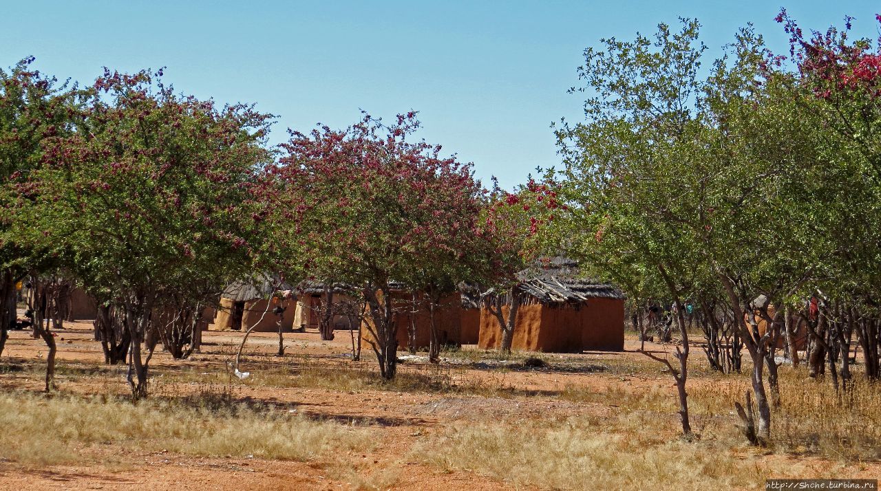 Отжикандеро Химба Сиротская деревня Отжикандеро, Намибия