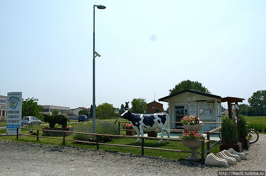 Автоматы по продаже натурального молока в Италии Фиденза, Италия