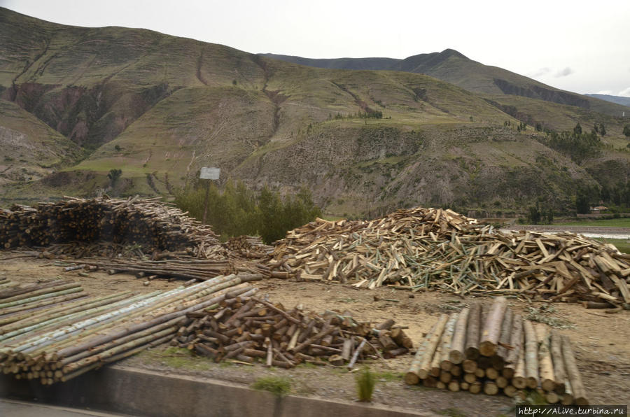Заготовка древесины — один из важных промыслов региона вокруг Куско. Перу