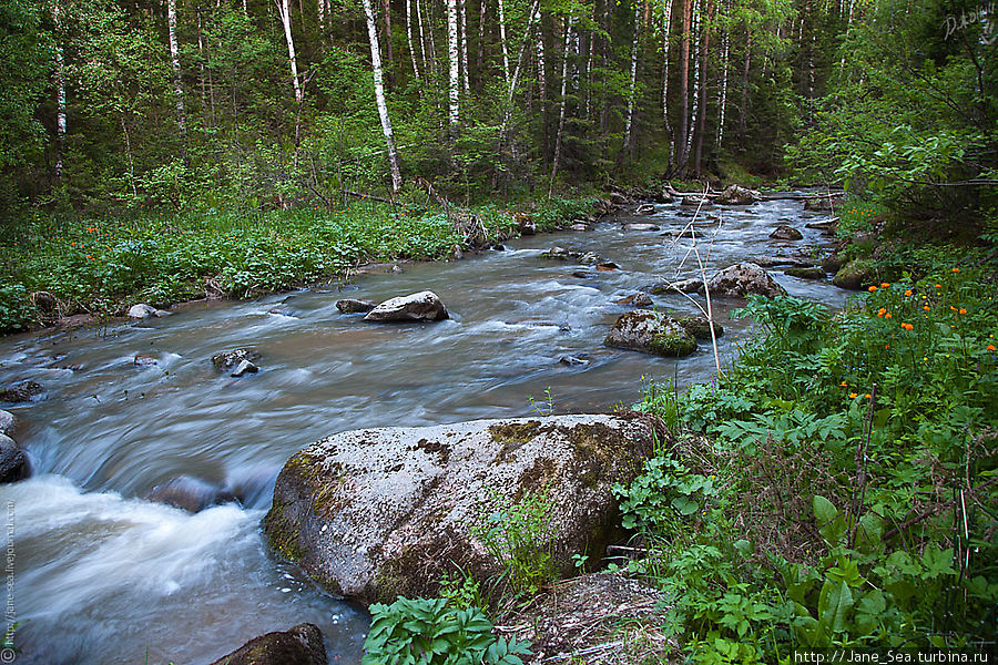 Река Белокуриха Белокуриха, Россия