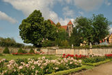 Розовый сад на горе у аббатства