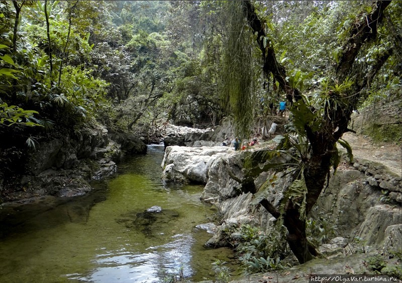 Речка Буритака пересекает джунгли и приводит в Затерянный город Сьерра-Невада-де-Санта-Марта Национальный Парк, Колумбия