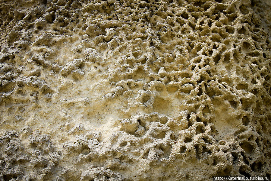 Фактура Инкерман, Россия Фактура Инкерман, Россия