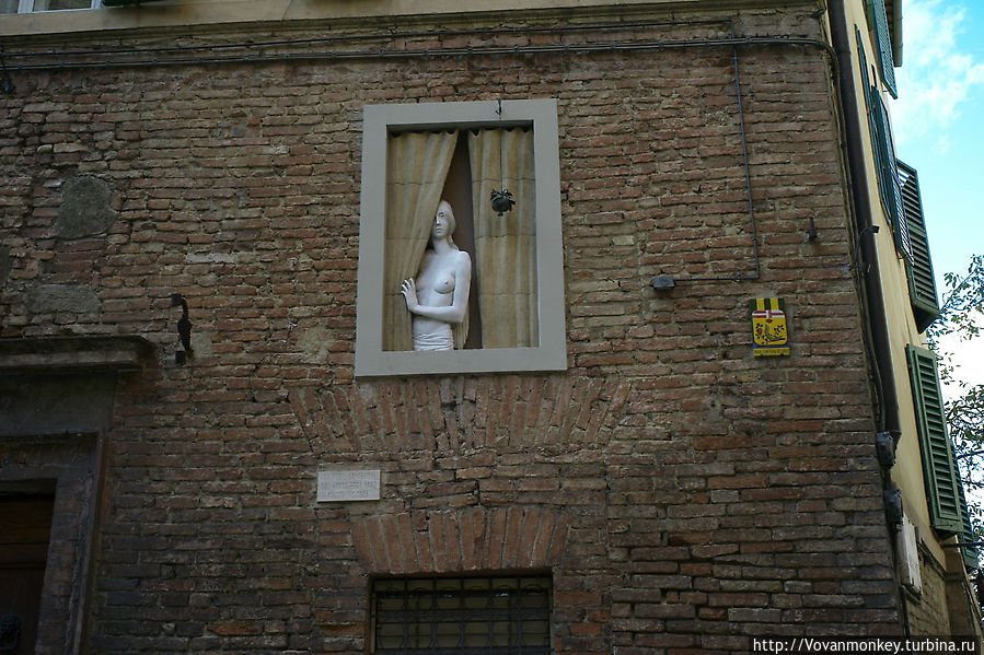 И на него смотрит такая милая девушка И на него смотрит такая милая девушка