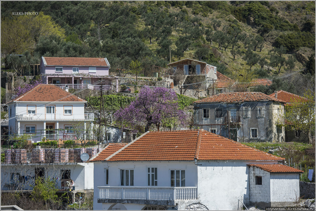 Тропинками Старого Бара (На просторах Монтенегро ч3) Старый Бар, Черногория Тропинками Старого Бара (На просторах Монтенегро ч3) Старый Бар, Черногория