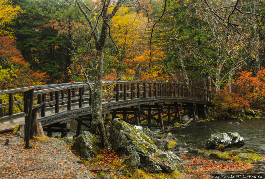 Итоги года: про жизнь Санта-Марта, Колумбия Итоги года: про жизнь Санта-Марта, Колумбия