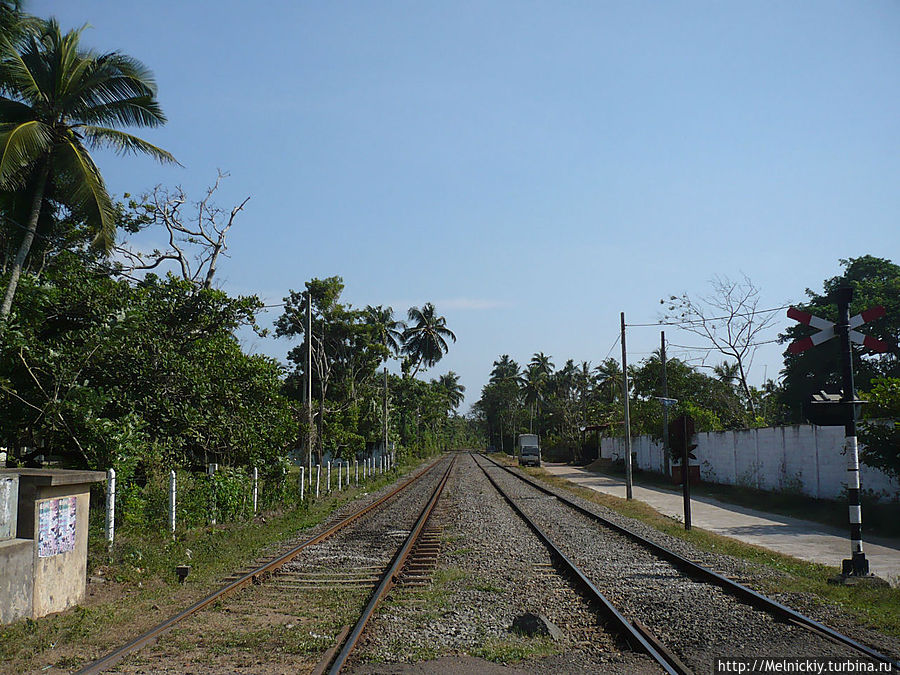 Прогулка по Ваддуве Ваддува, Шри-Ланка Прогулка по Ваддуве Ваддува, Шри-Ланка