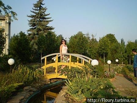 На море в Приморске через грязь Приморск, Украина