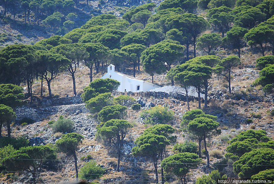 Часовня Кальварио Часовня Кальварио