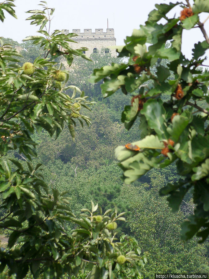 А растительность напоминает Крым. А растительность напоминает Крым.