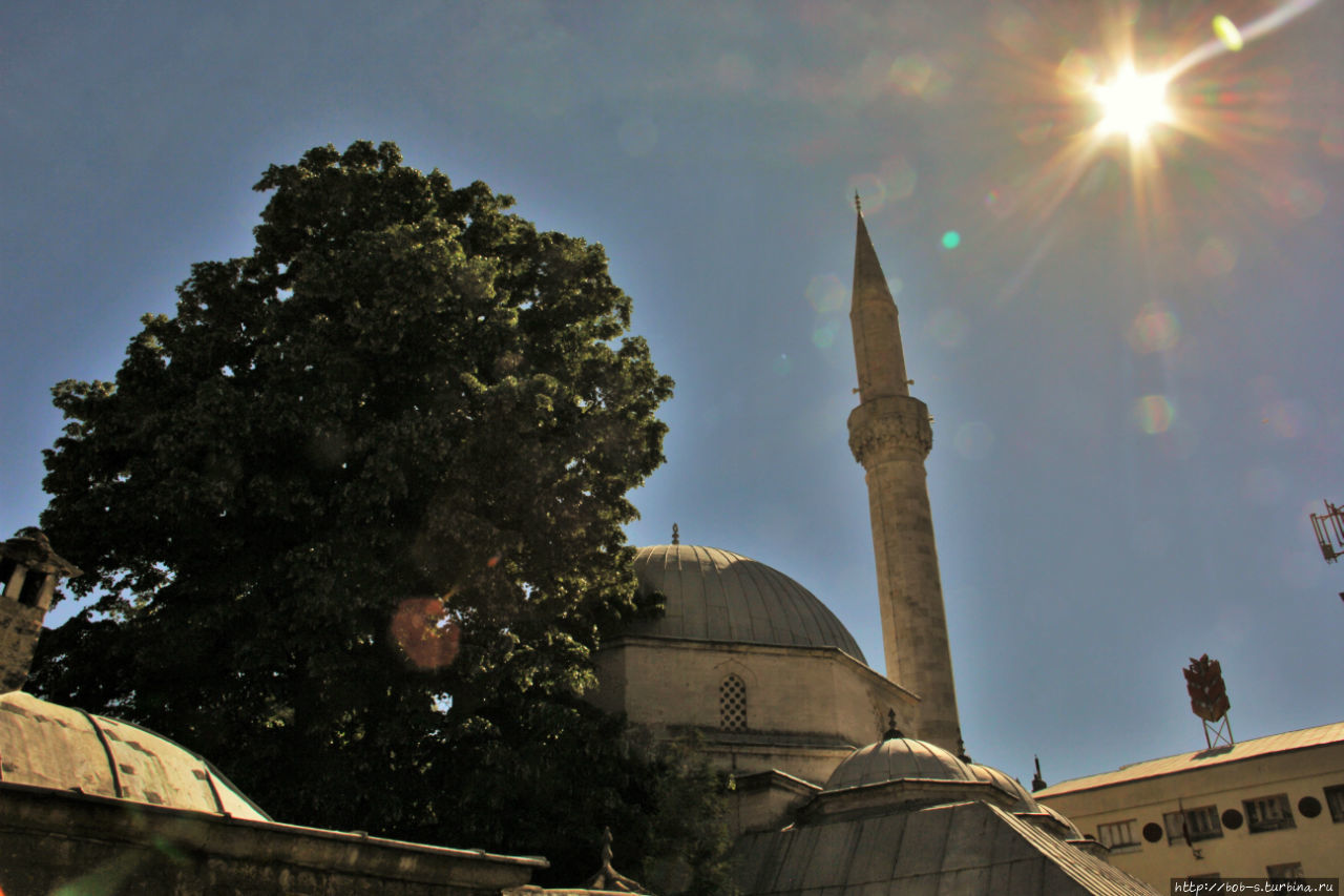 Караджозбегова мечеть. Благодаря большому куполу и высокому минарету, является крупнейшим в этом регионе Боснии и Герцеговины. Ходят слухи, что даже можно подняться на минарет. Сам не поднимался и желающих не видел Мостар, Босния и Герцеговина