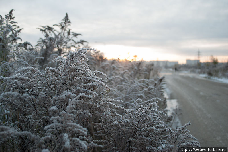 В Риге  в дополнение к снегу ещё и изморозь с туманчиком Рига, Латвия